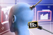 Blackboard on the Brain