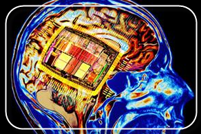 Digital Native Photo